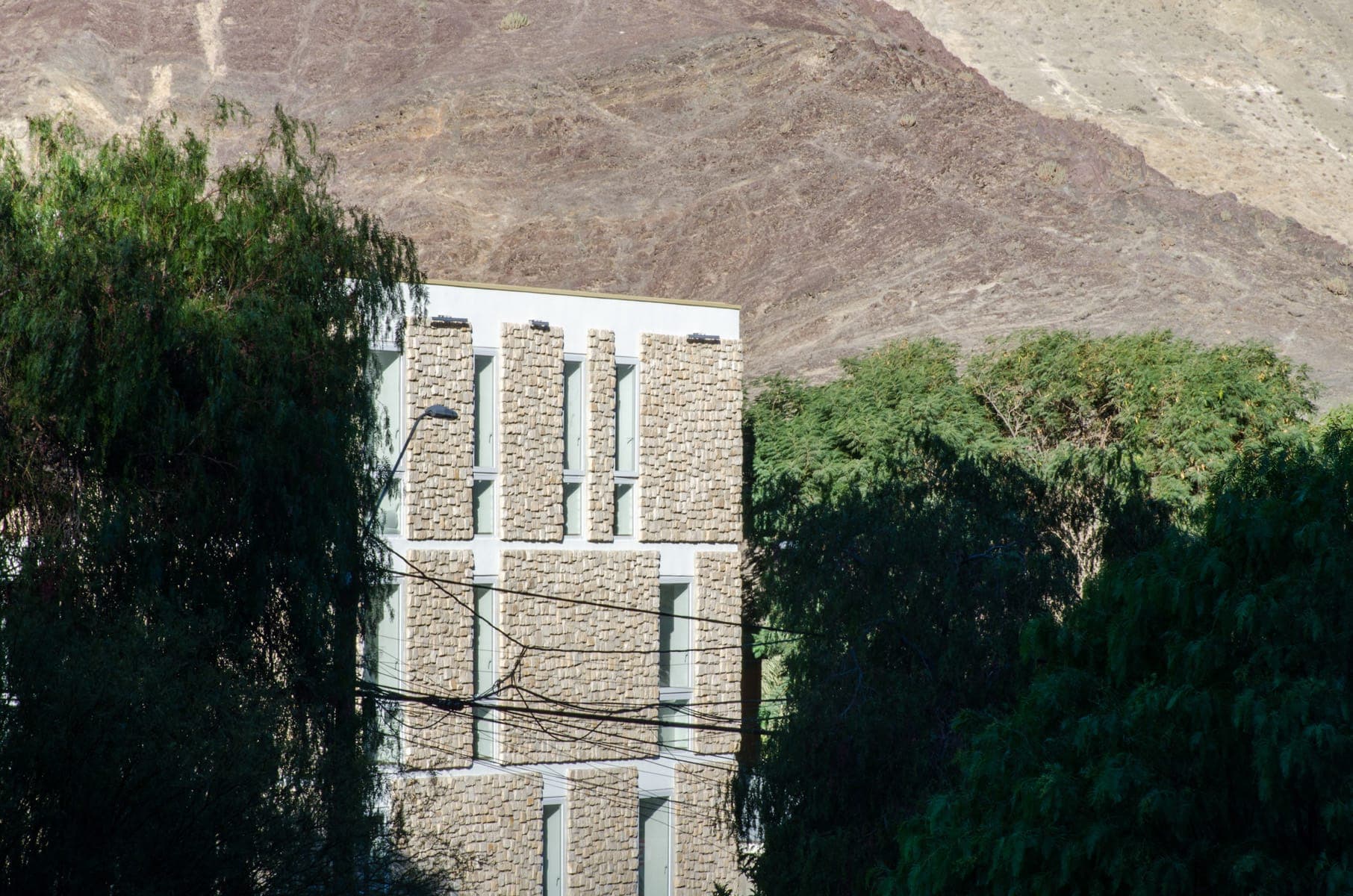 Municipalidad Alto del Carmen — detalle 2