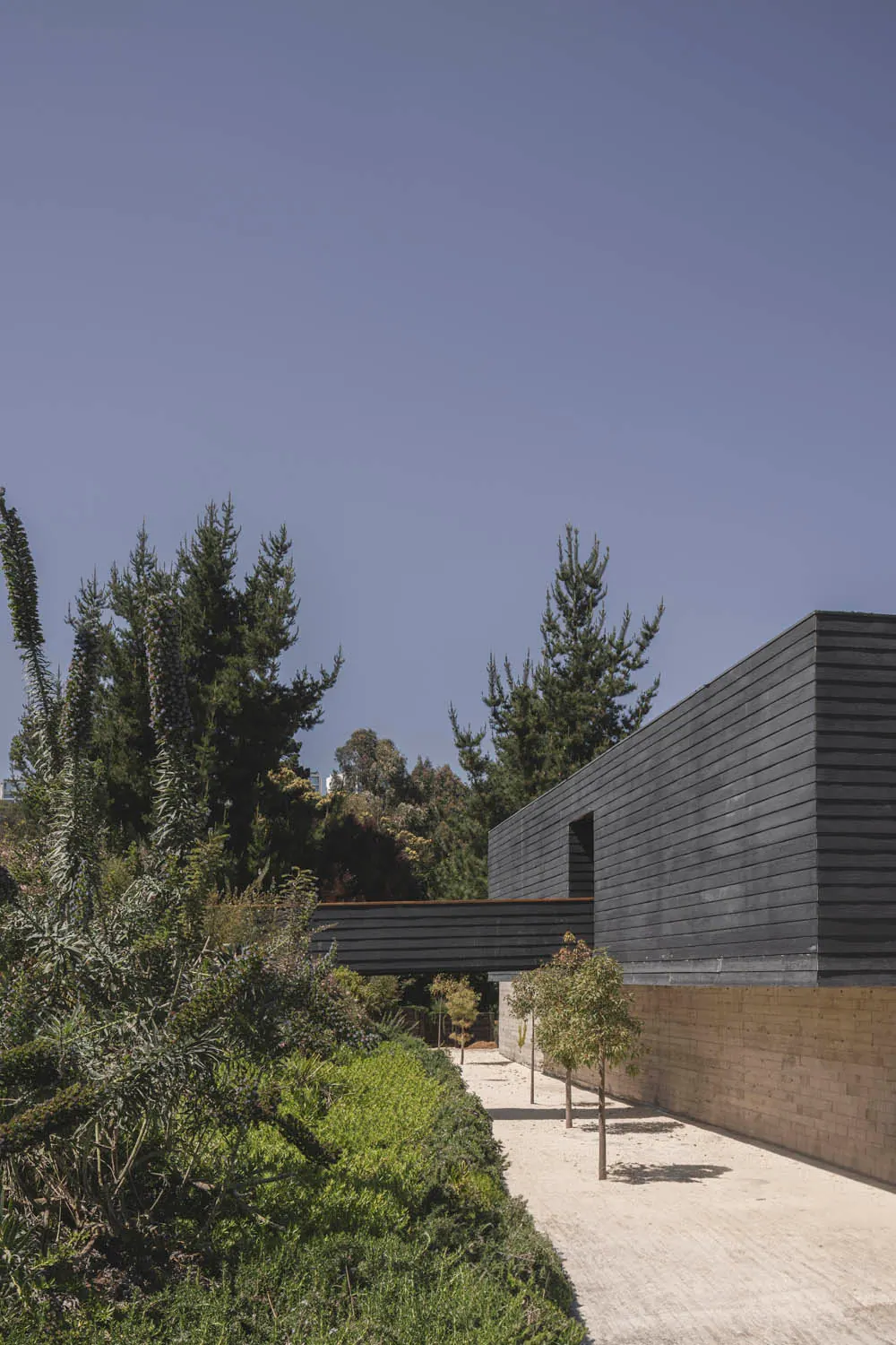 Claustro House — detalle 2