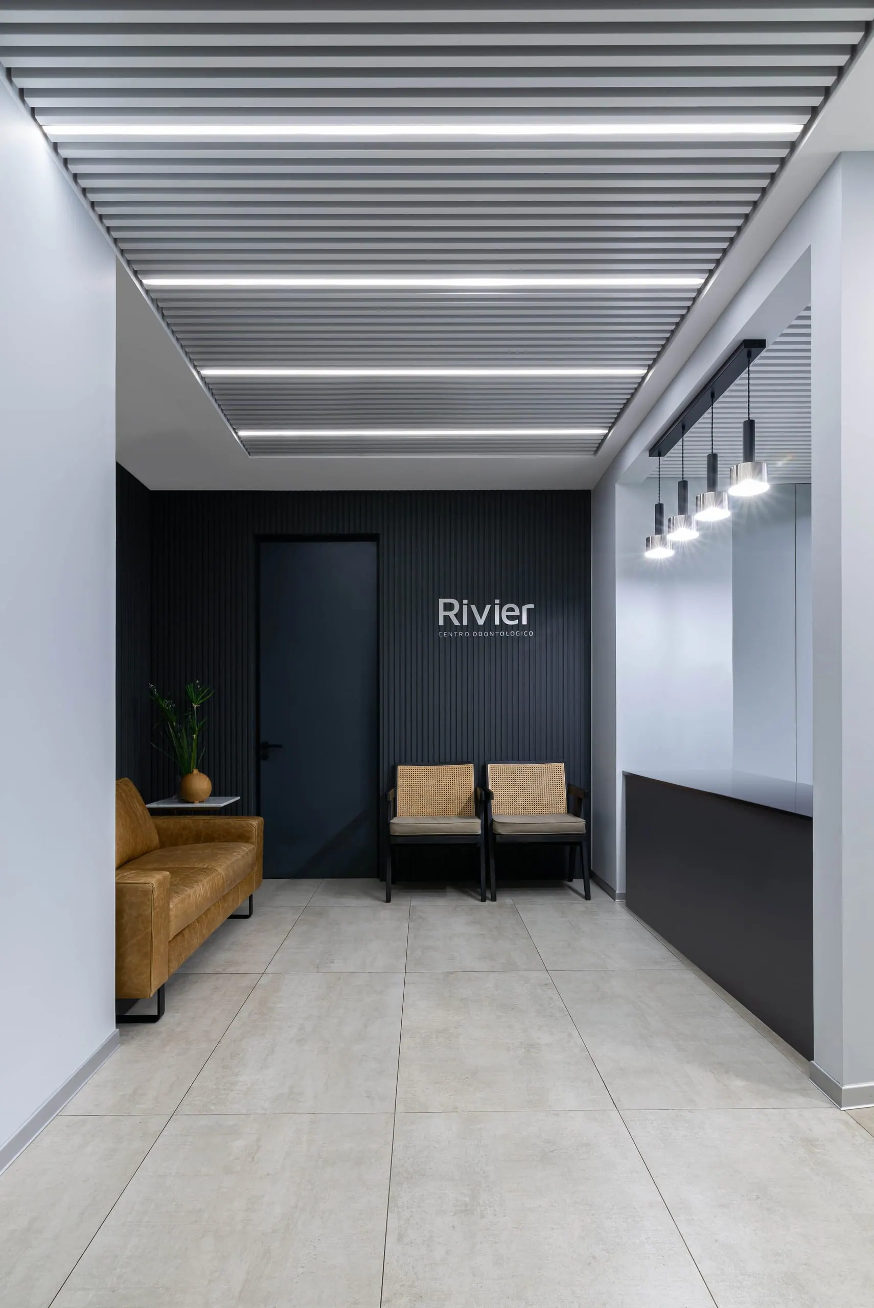 Clínica Rivier — detalle 2