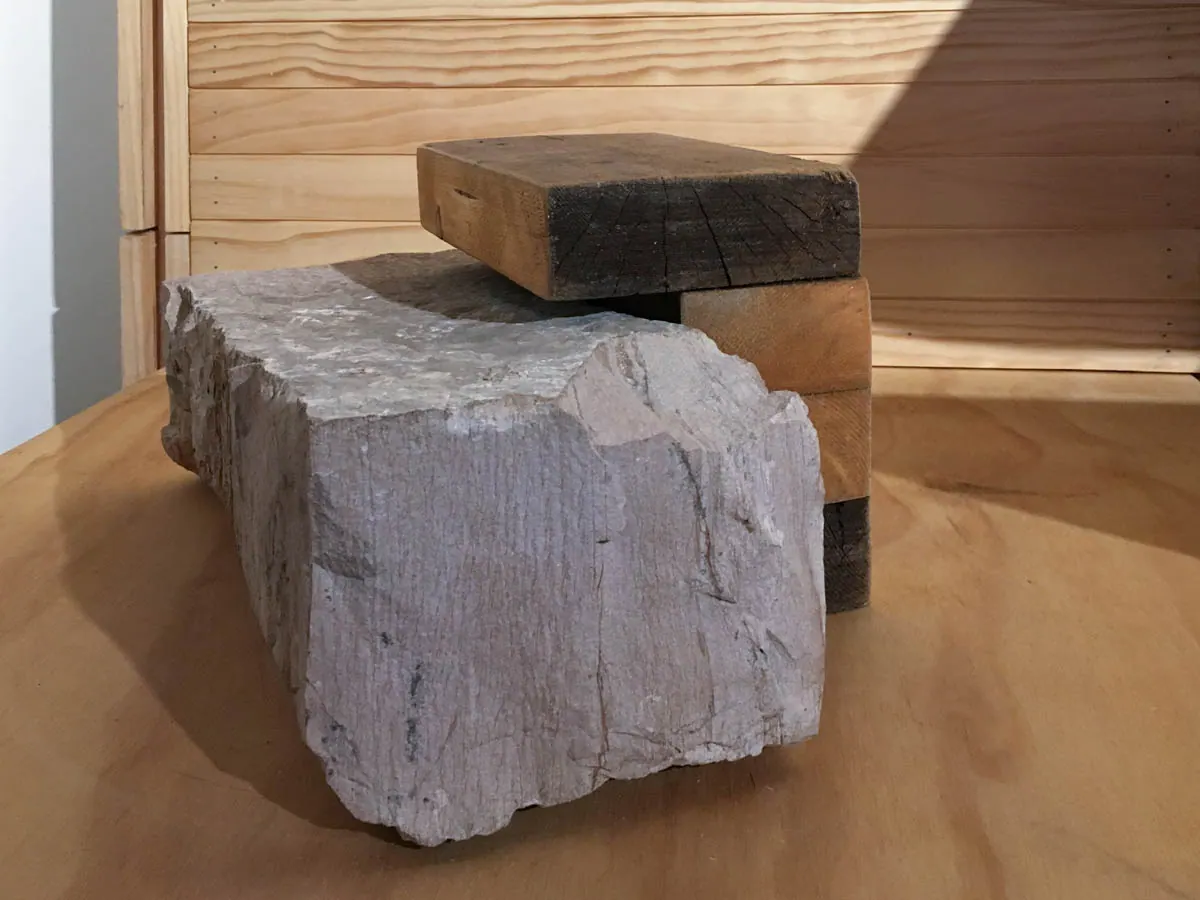Territory in Contrasts - XV Venice Biennale — detalle 3