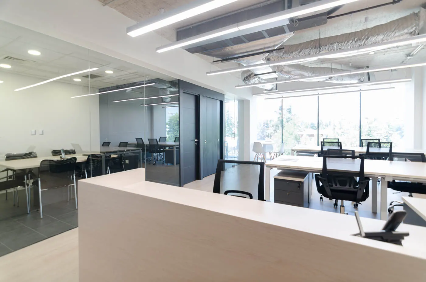Oficinas TiendaPet.cl — detalle 2